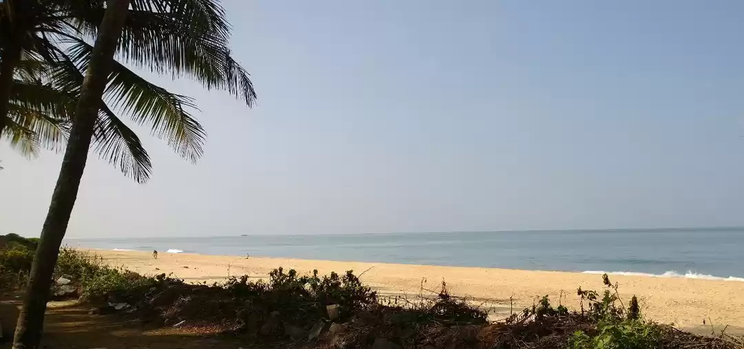 Photo of A lot MORE in MANGA