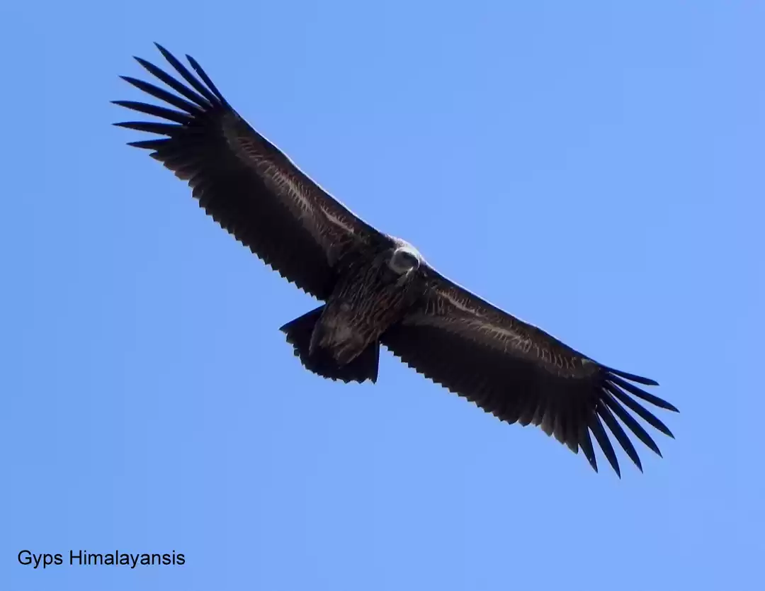 Photo of Weekend trek to Tuml