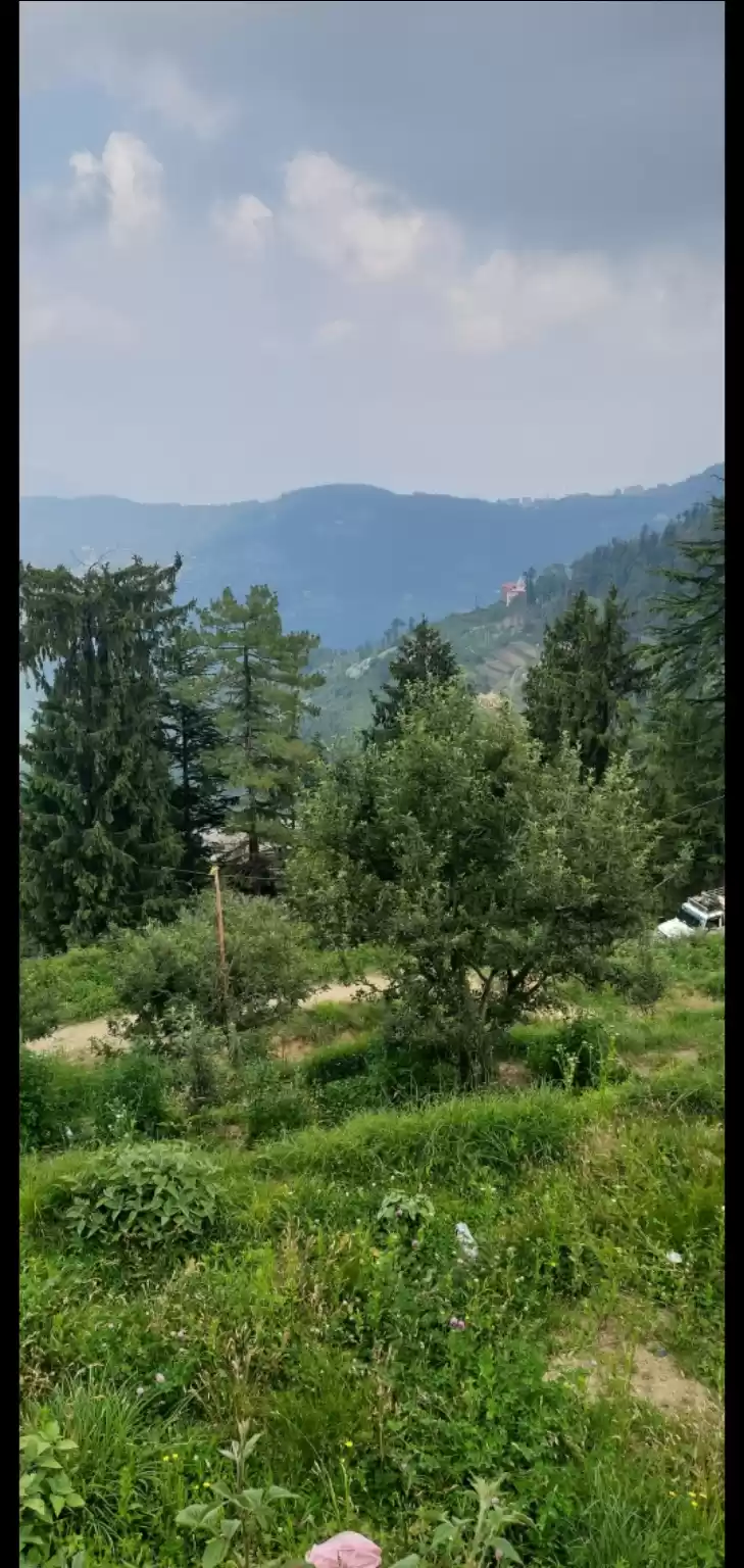 Photo of बहुत हो गया काम काज,