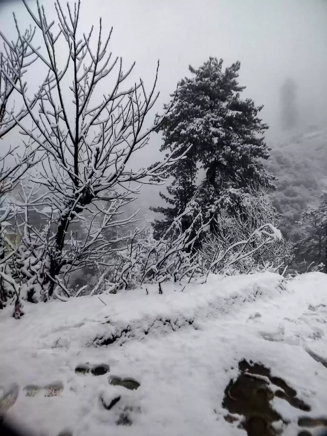 Photo of Parvati valley trek