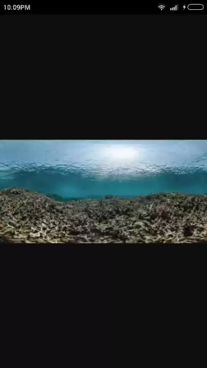 Photo of Coral reefs-Are ther