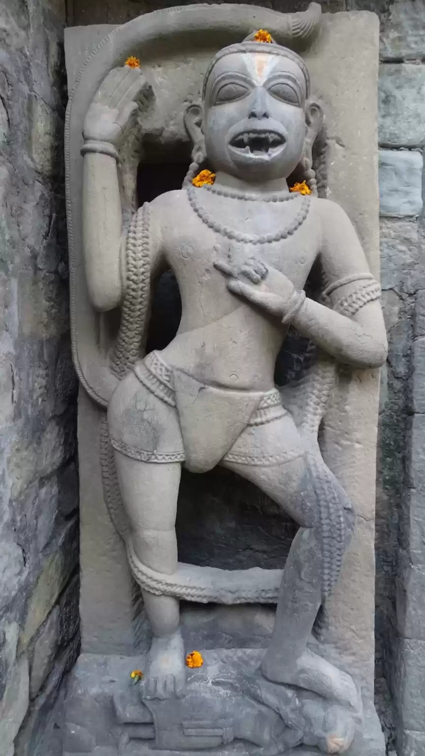 Photo of Feb -2023 ,Chota Kas