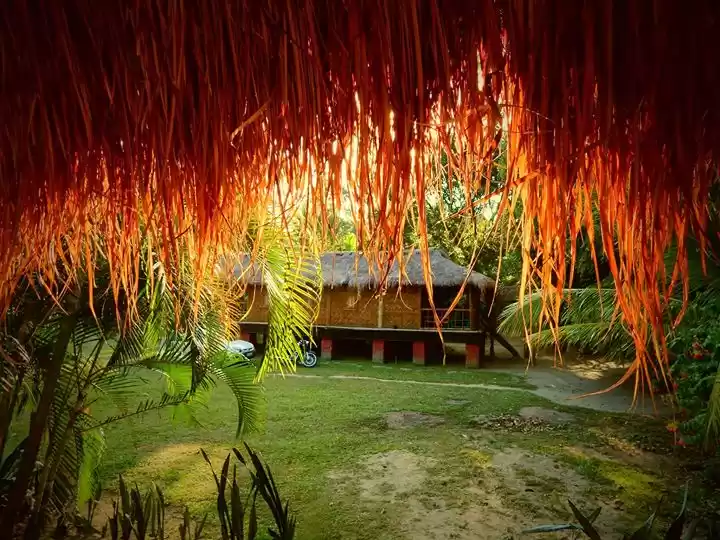 Photo of Trip to the second l