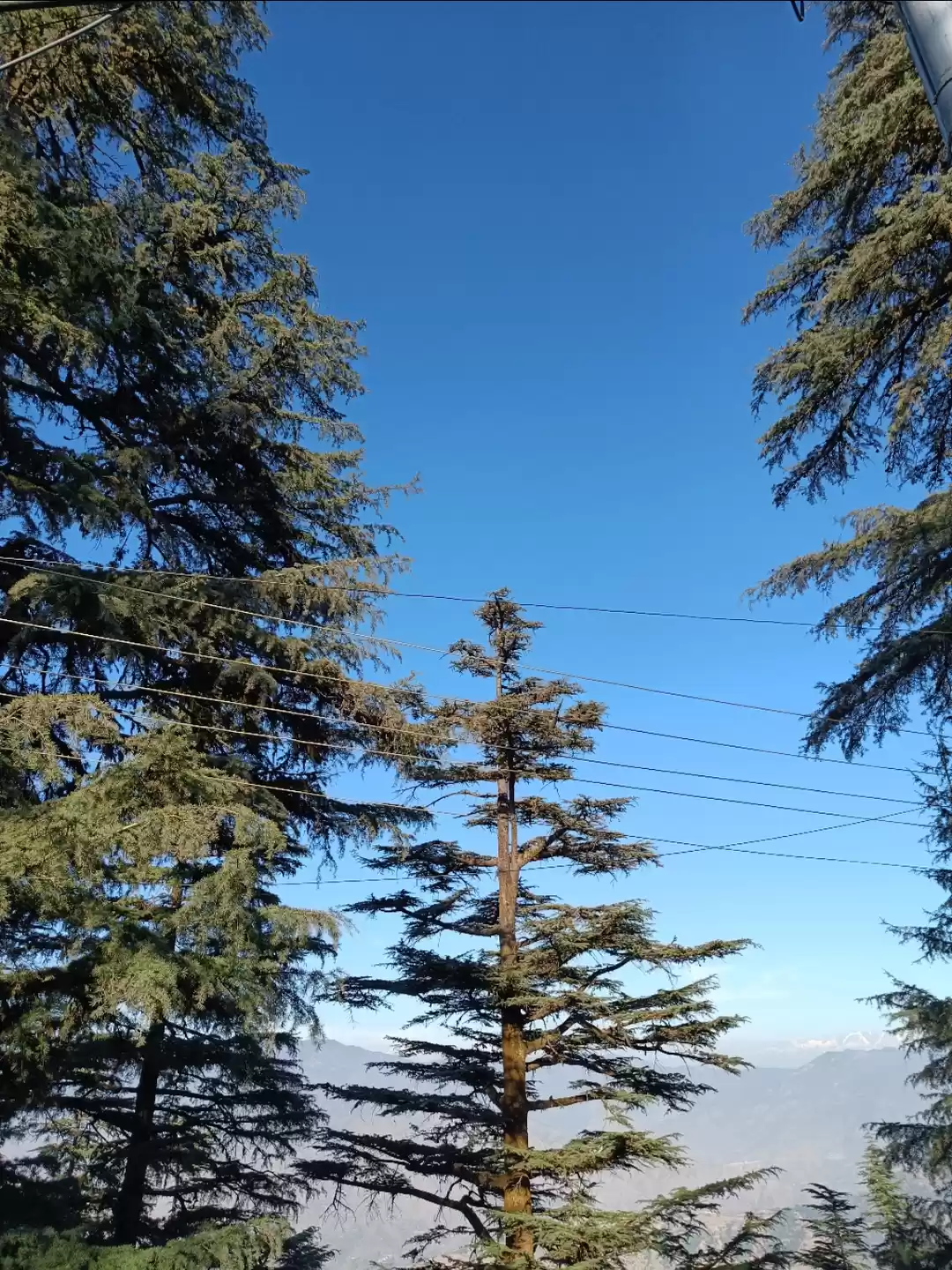 Photo of Landour Diaries 