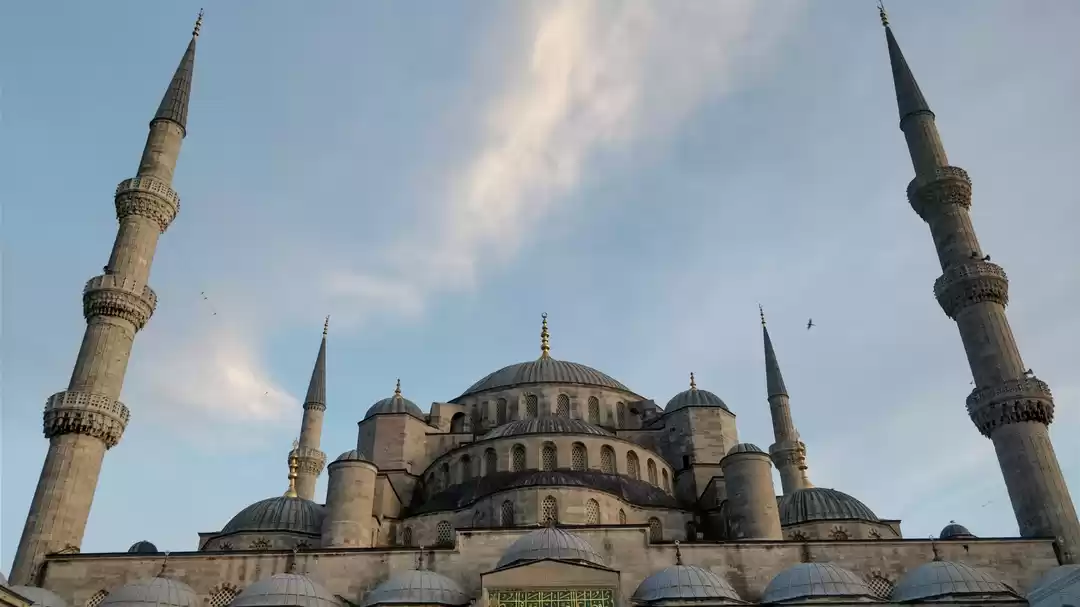 Photo of TALES FROM TURKEY (W