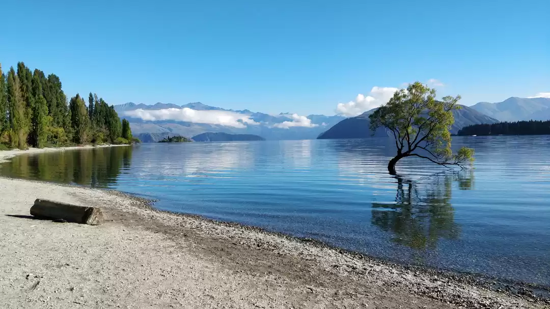Photo of Backpacking in New Z