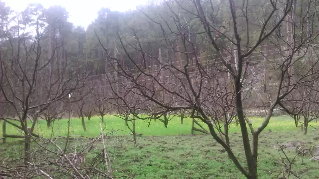 Photo of Kasol:Escapism from 