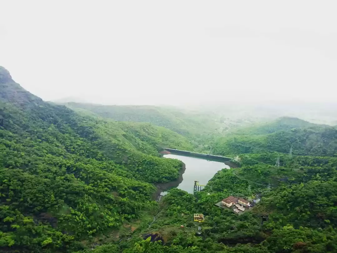 Photo of Paradise full of lan