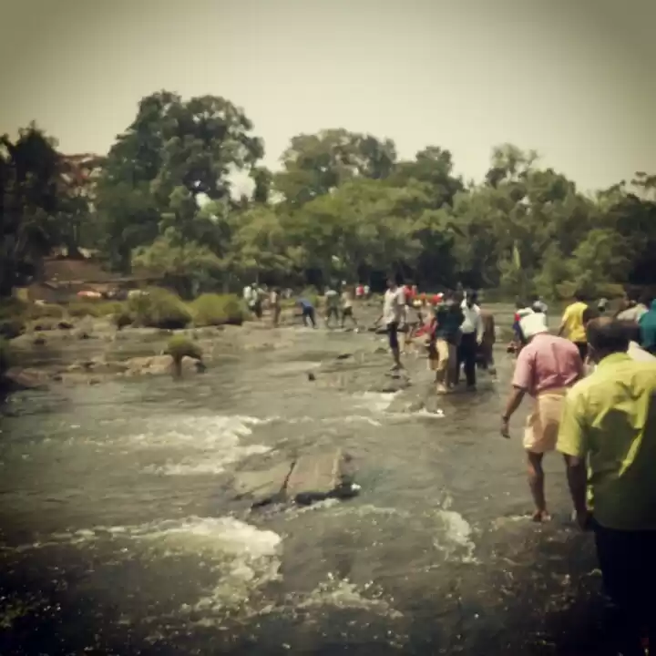 Photo of Coorg: Road trip to 