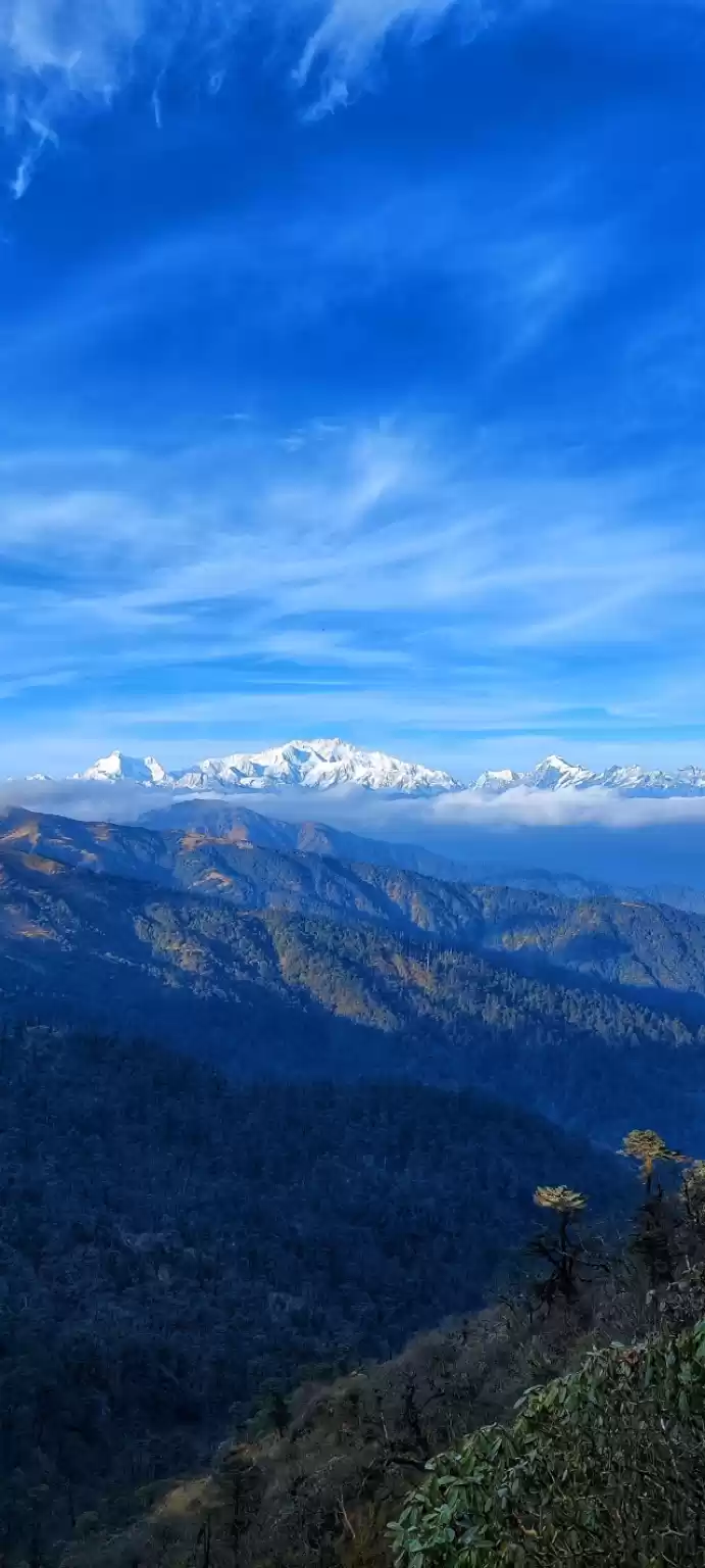 Photo of Sandakphu phalut Tre