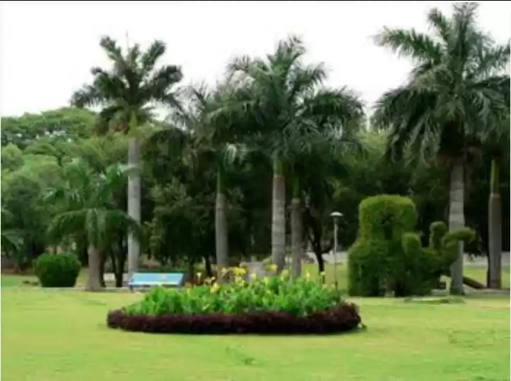 Photo of कुफरी नाम अजीब है पर