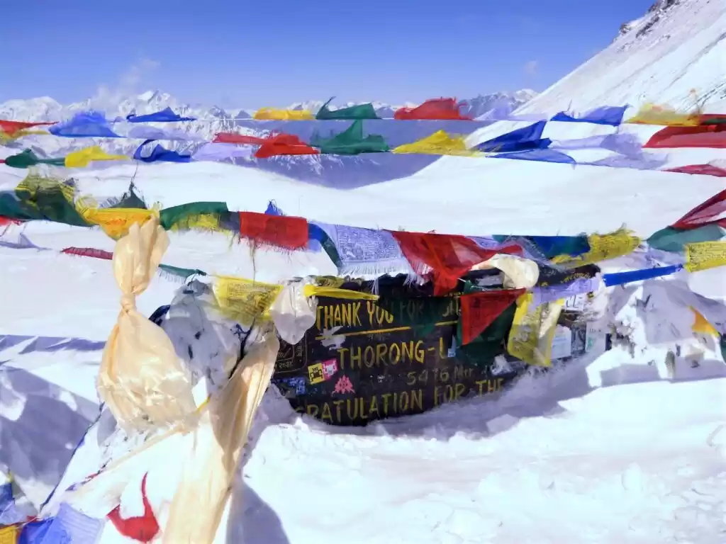 Photo of Top Three Treks To T