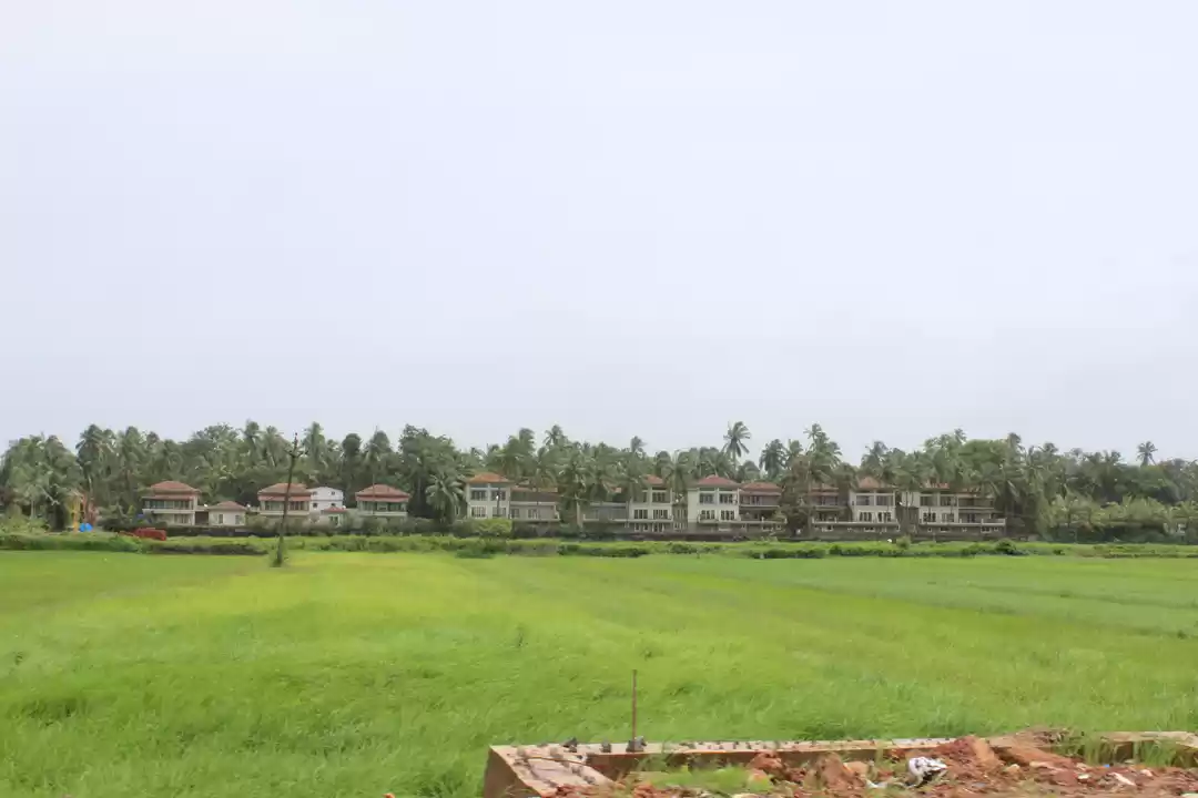 Photo of A Perfect Day in Goa