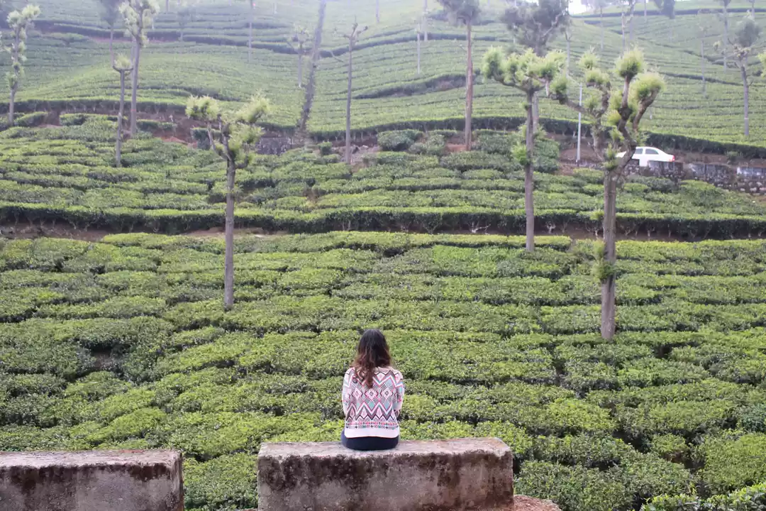 Photo of Ooty, Coonoor & Coim