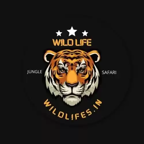 Photo of Wild Life Safari