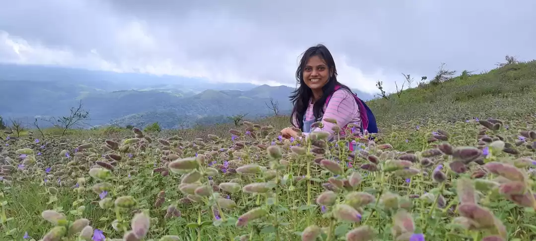 Photo of Mandalpatti- the unt