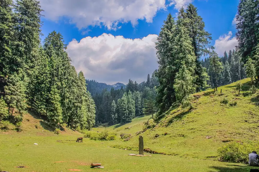 Photo of Kuppar Trek....