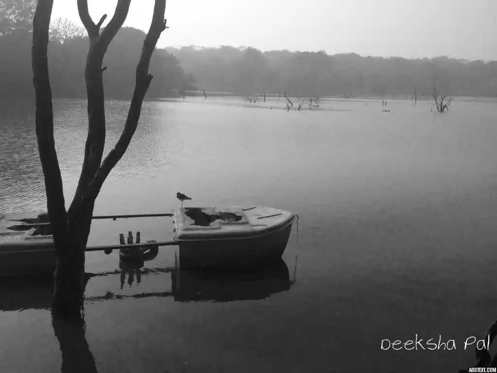 Photo of When Nature serves a