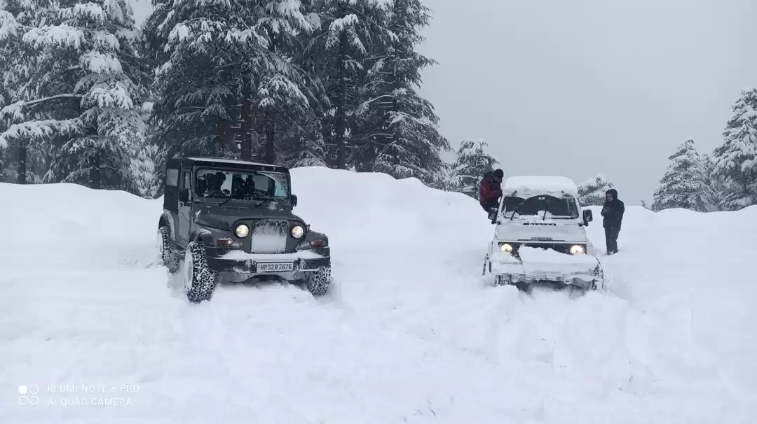 Photo of Into the Wild Snow 