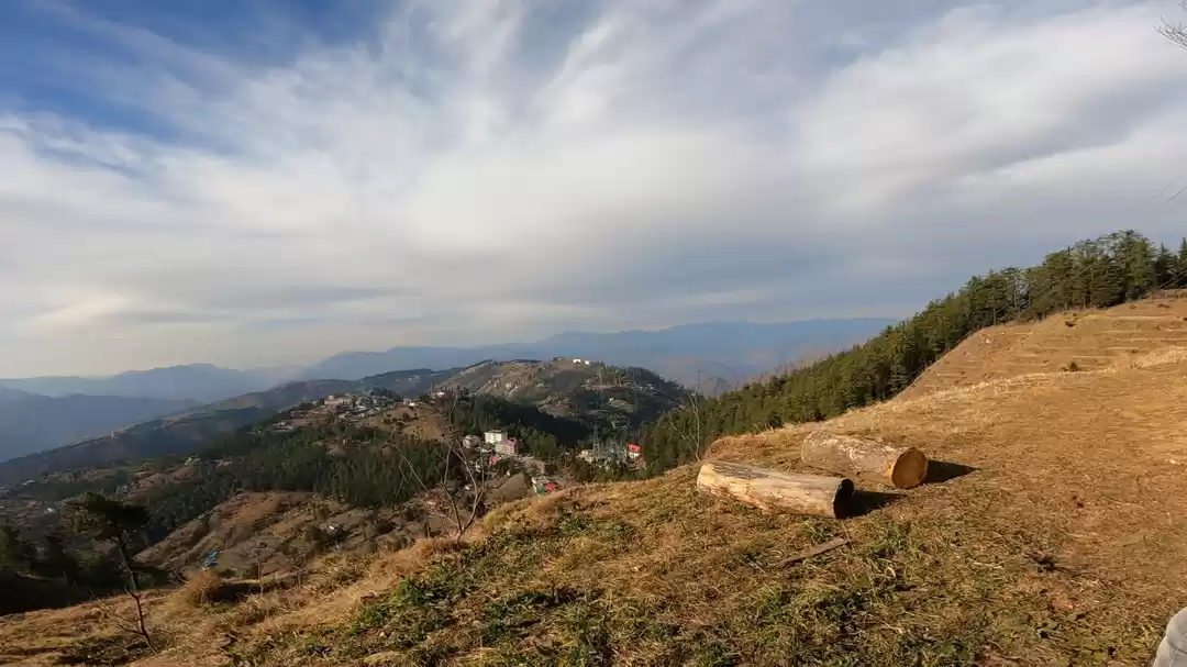 Photo of Into the Wild 