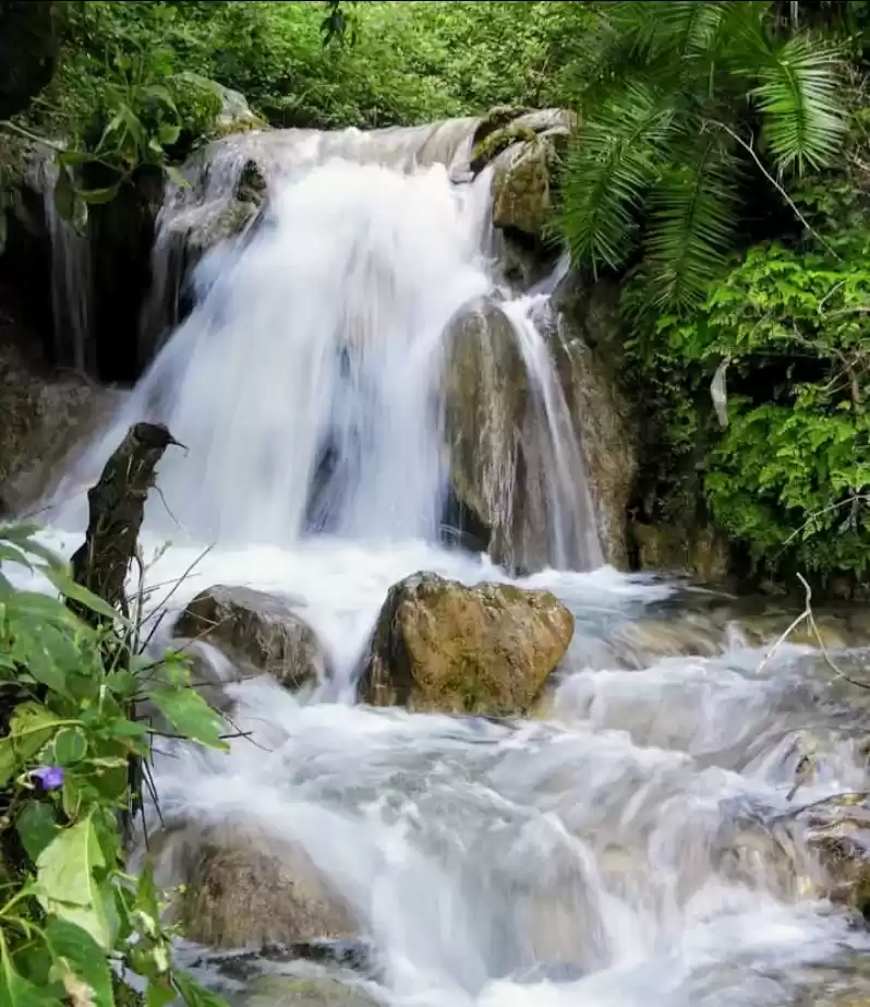 Photo of Unleashing the Hidde