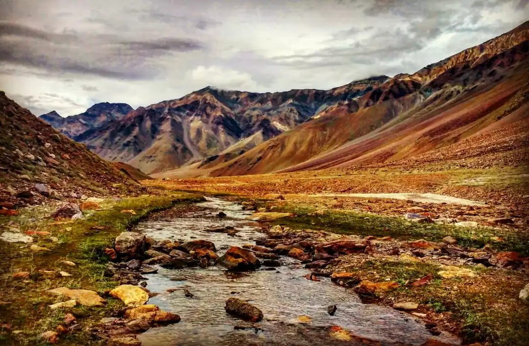 Photo of In the middle of now