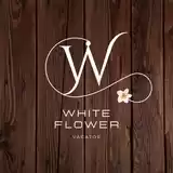Photo of White Flower