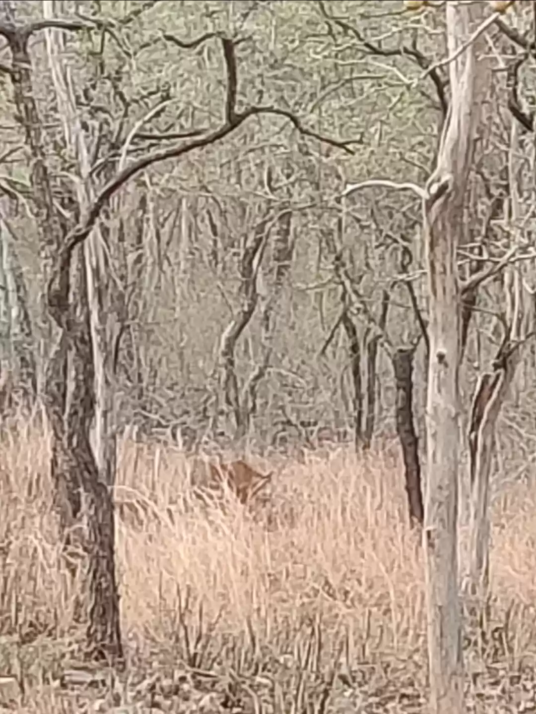 Photo of Amazing Trip