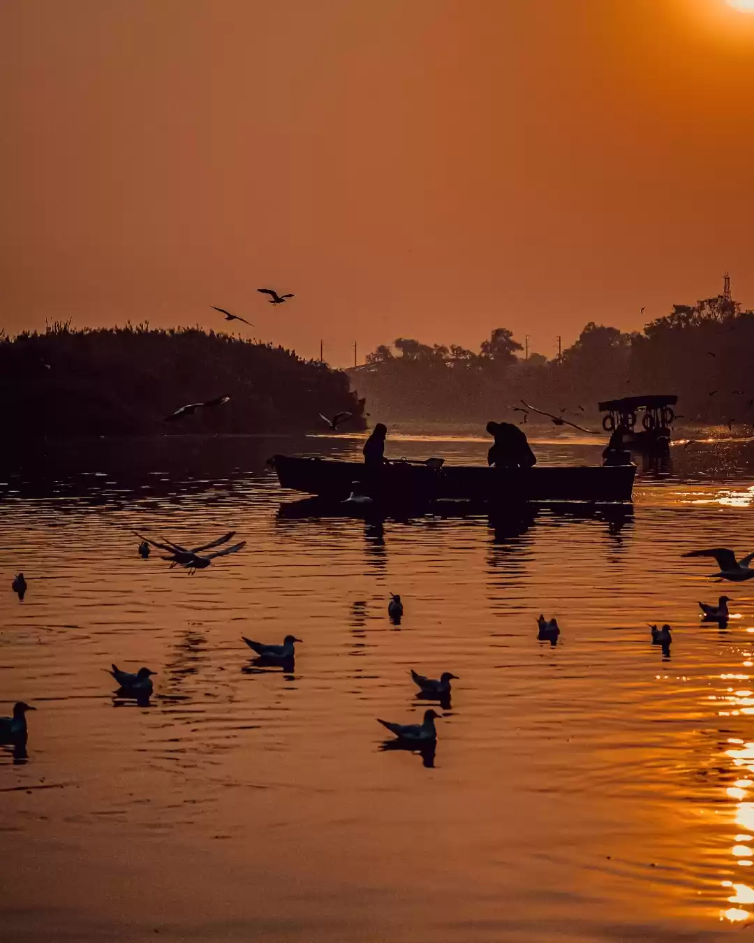 Photo of Golden hour at yamun