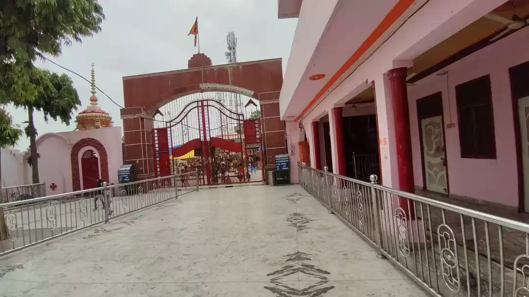 Photo of फर्रुखाबाद स्थित नीम