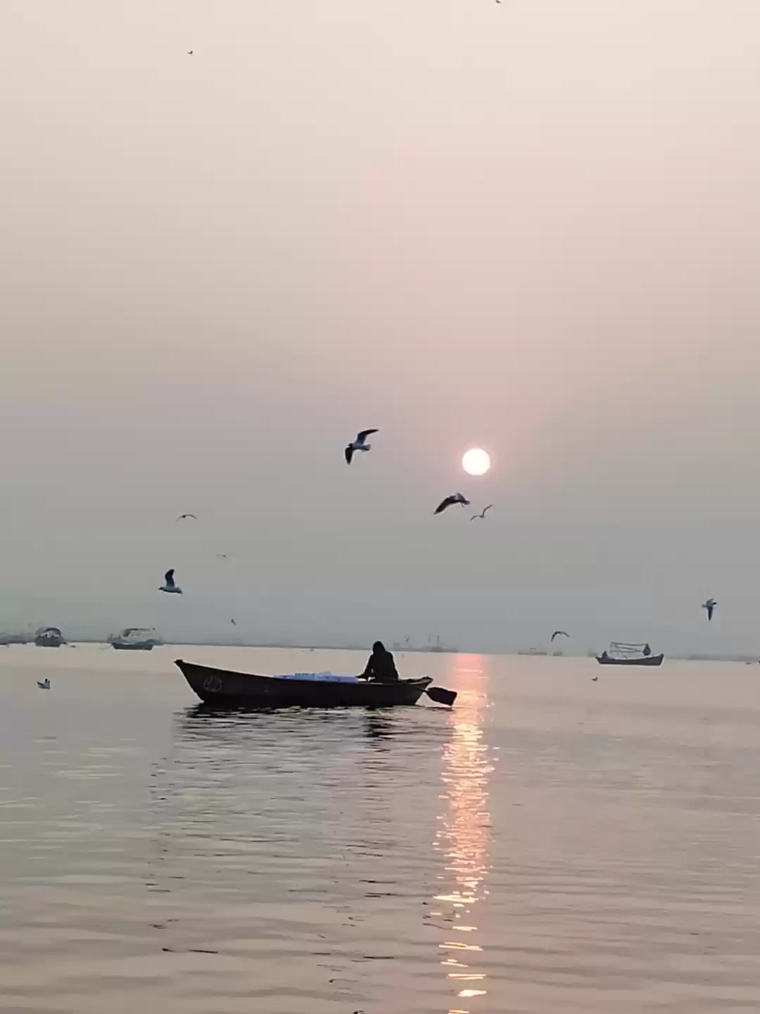 Photo of #Amateur Photographe