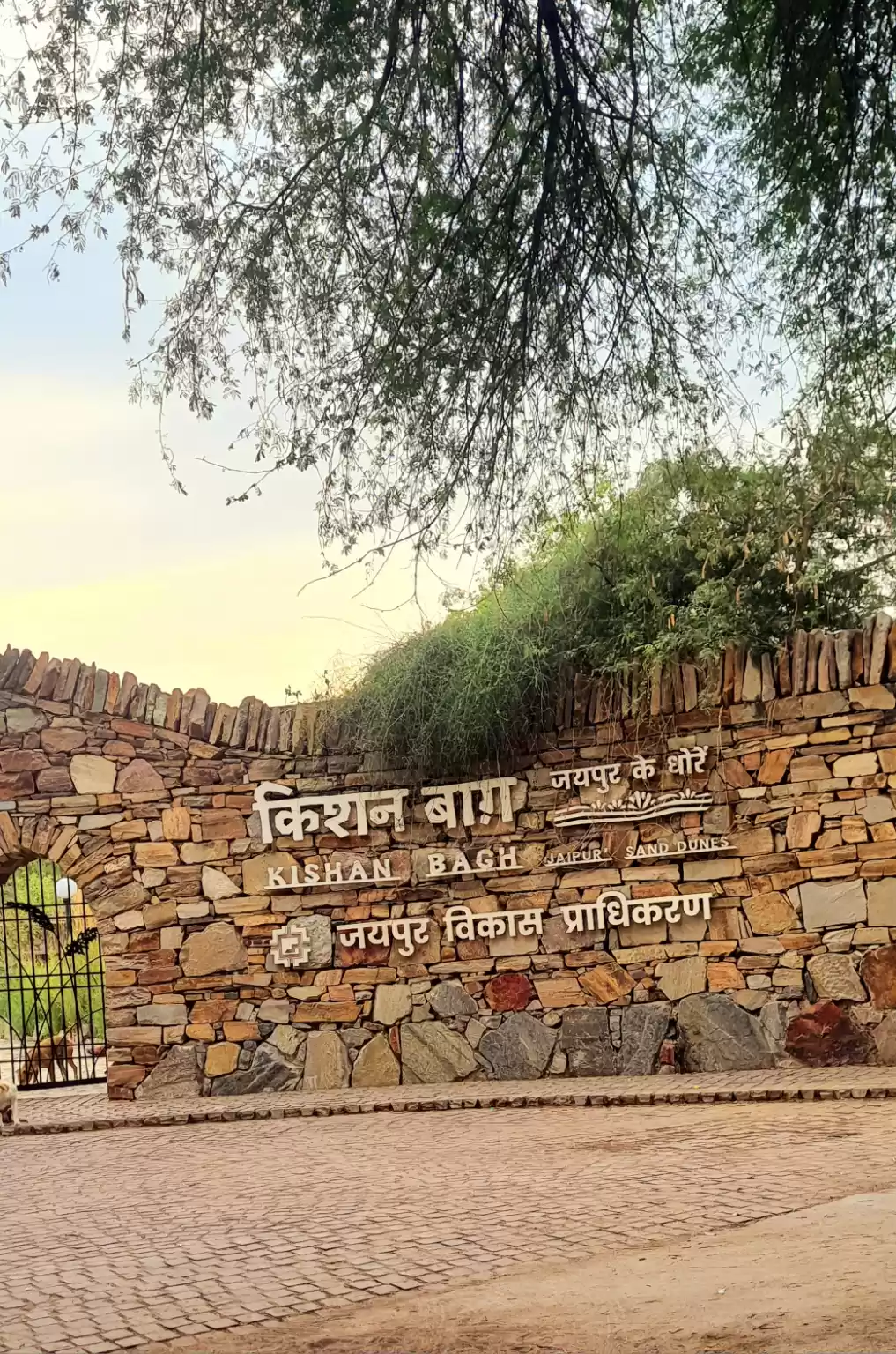 Photo of SAND DUNES OF JAIPUR