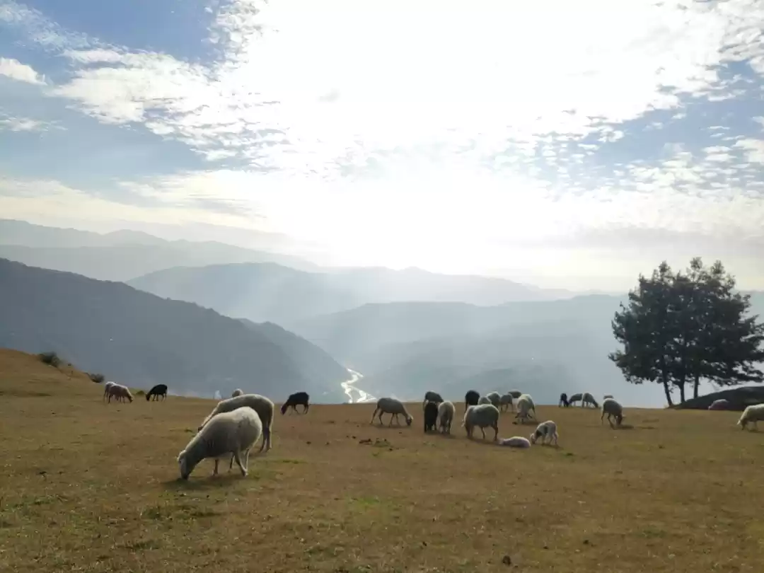 Photo of Peaceful place