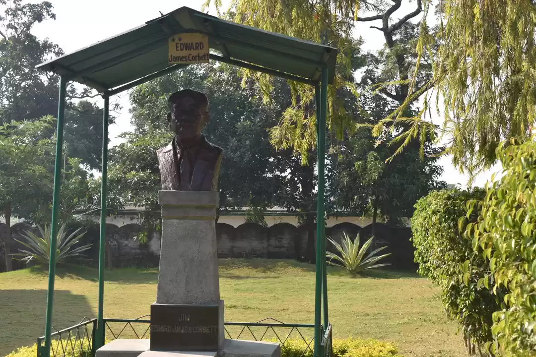 Photo of A Jim Corbett Stayca