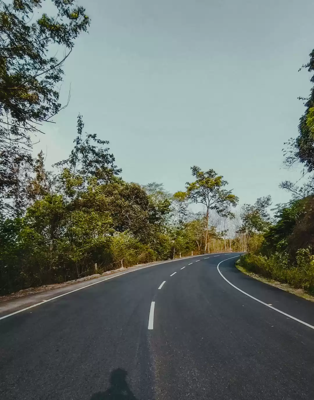 Photo of Into the wilds: A Jo