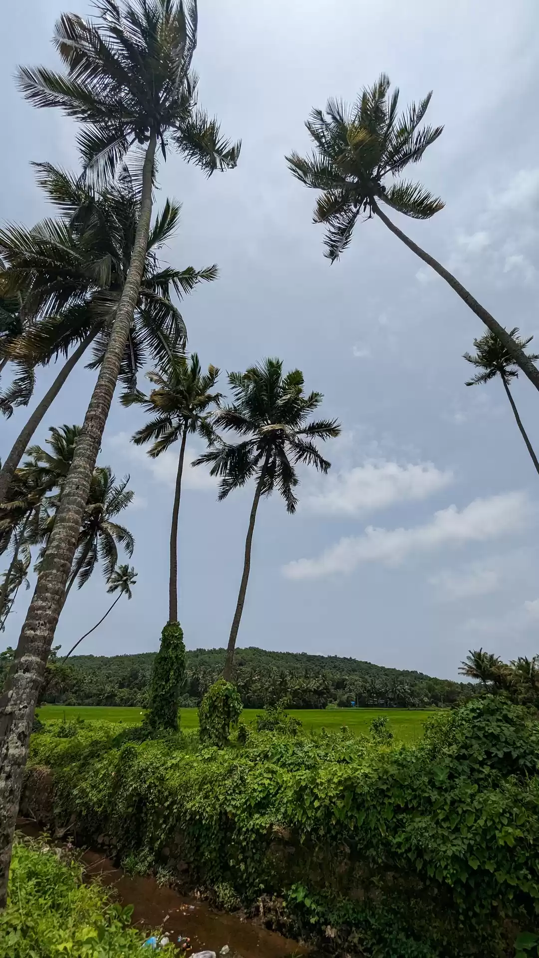 Photo of Sun, Sand, and Memor