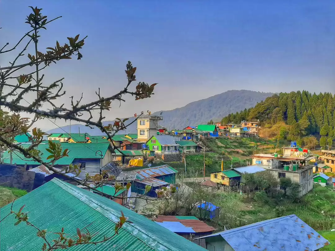 Photo of Dhotrey Moments