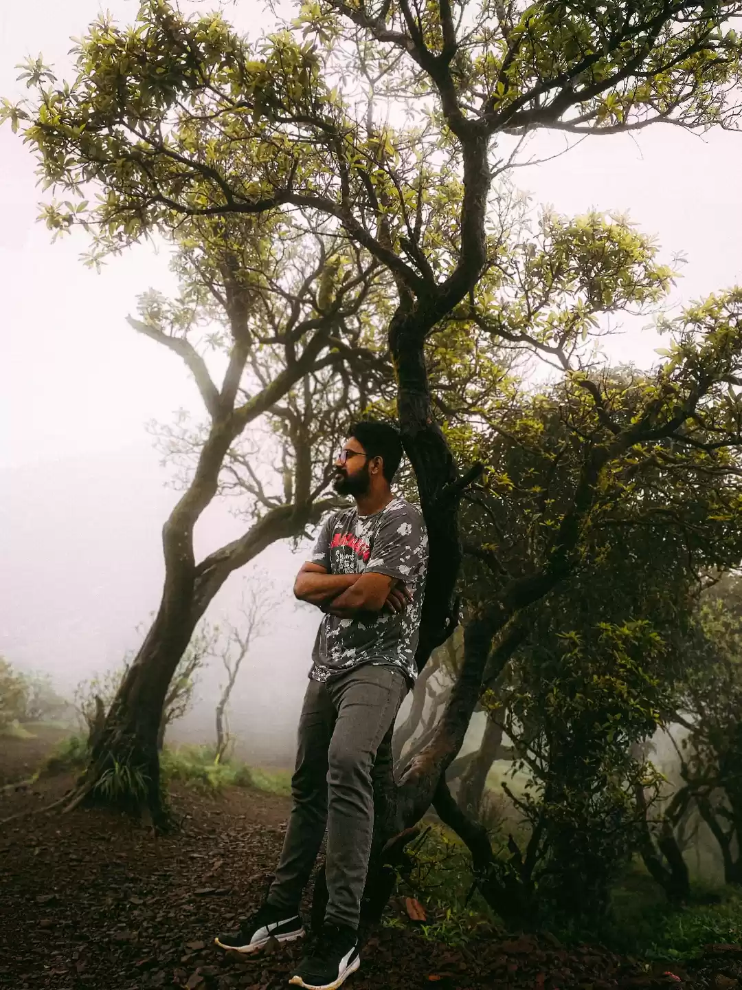 Photo of Kodachadri - The Hil