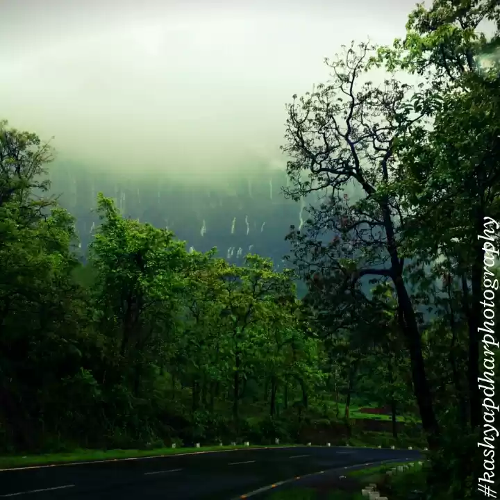 Photo of Malshej Ghat - Buffe