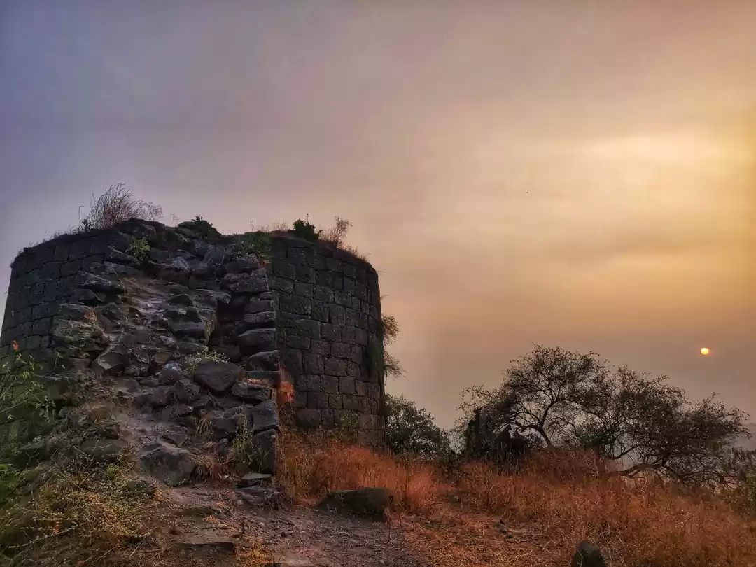 Photo of Enchanting mystique 