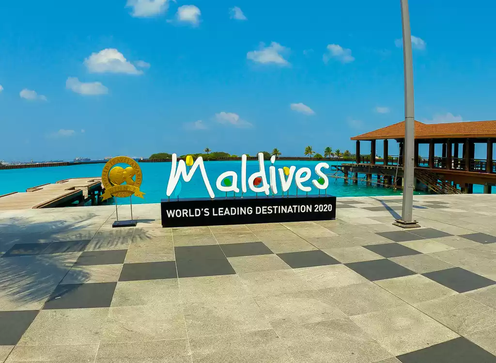 Photo of If you are planning 