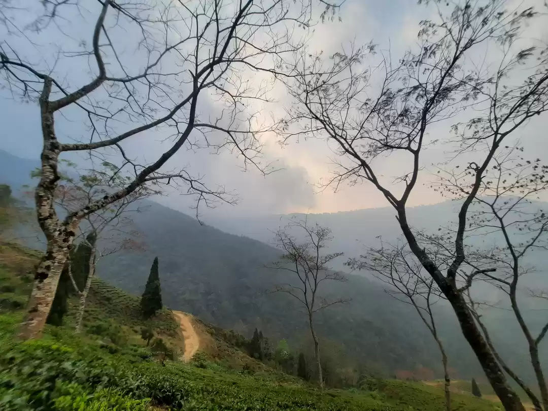 Photo of Rangaroon trip