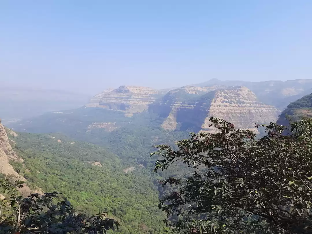 Photo of North Konkan (Mahara