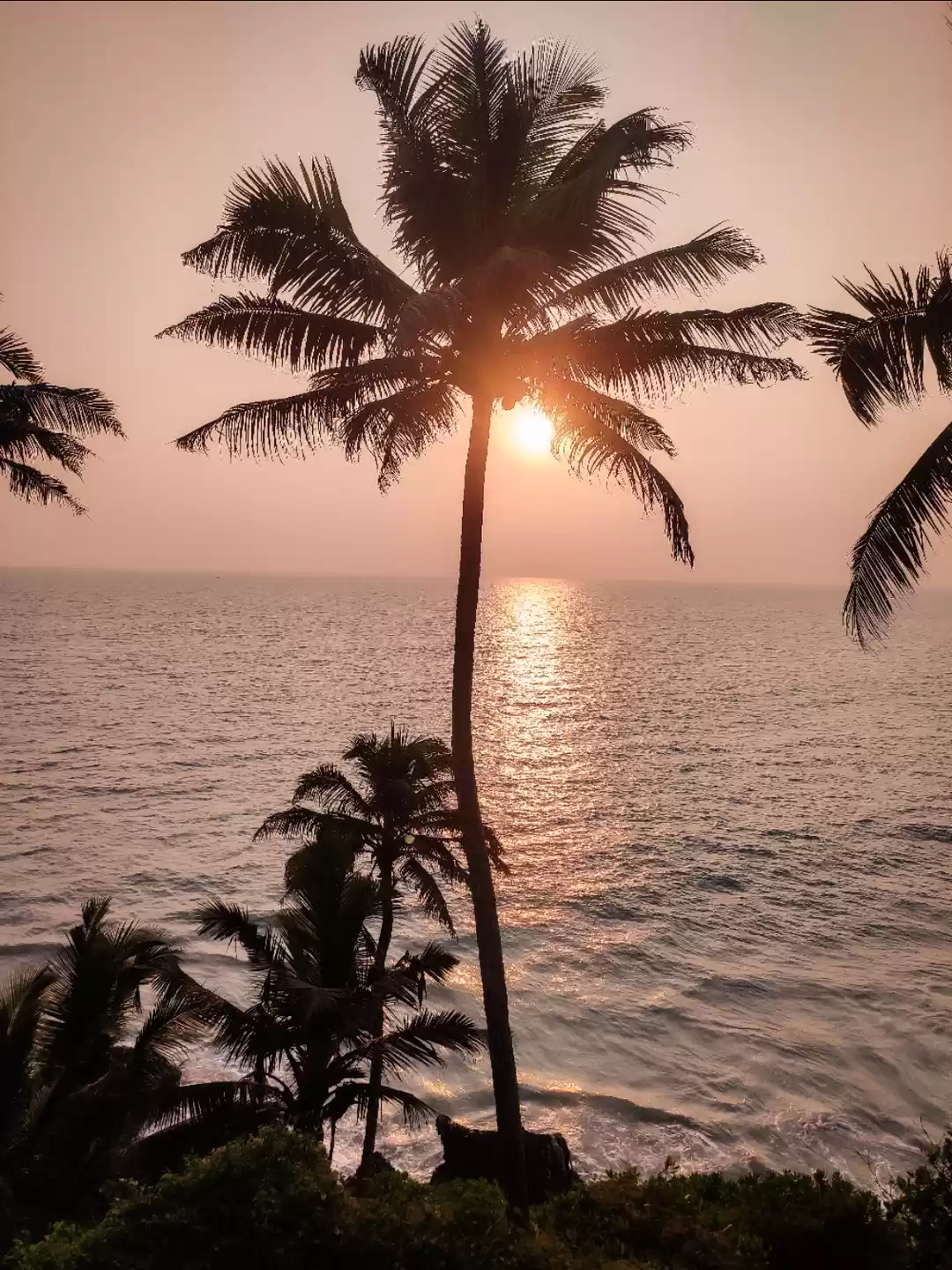 Photo of Sun falls from cocon
