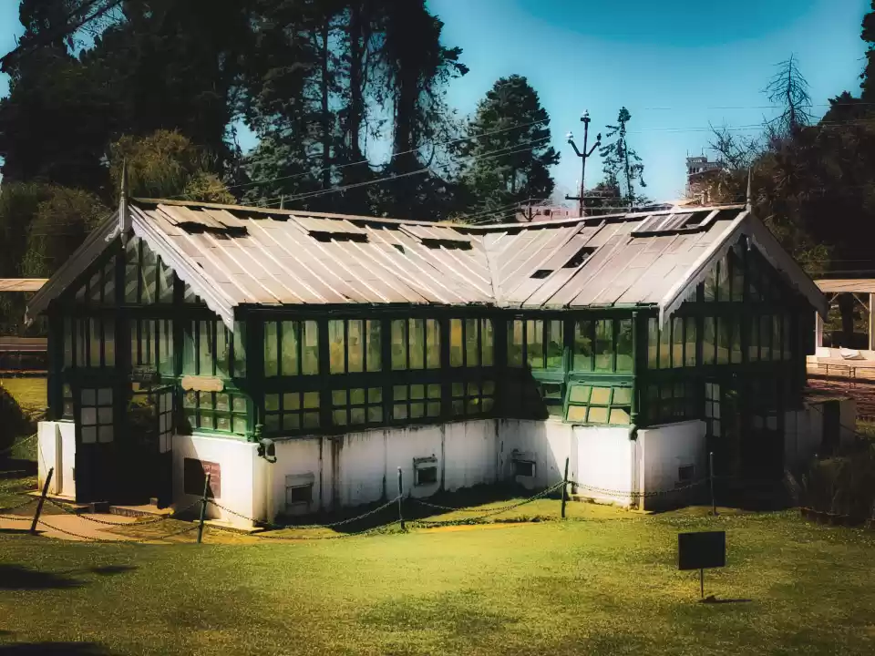 Photo of The Botanical garden