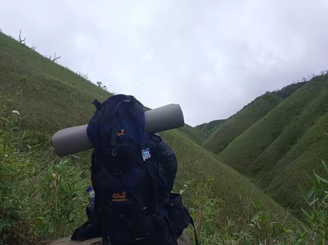 Photo of Dzukou Valley, Nagal
