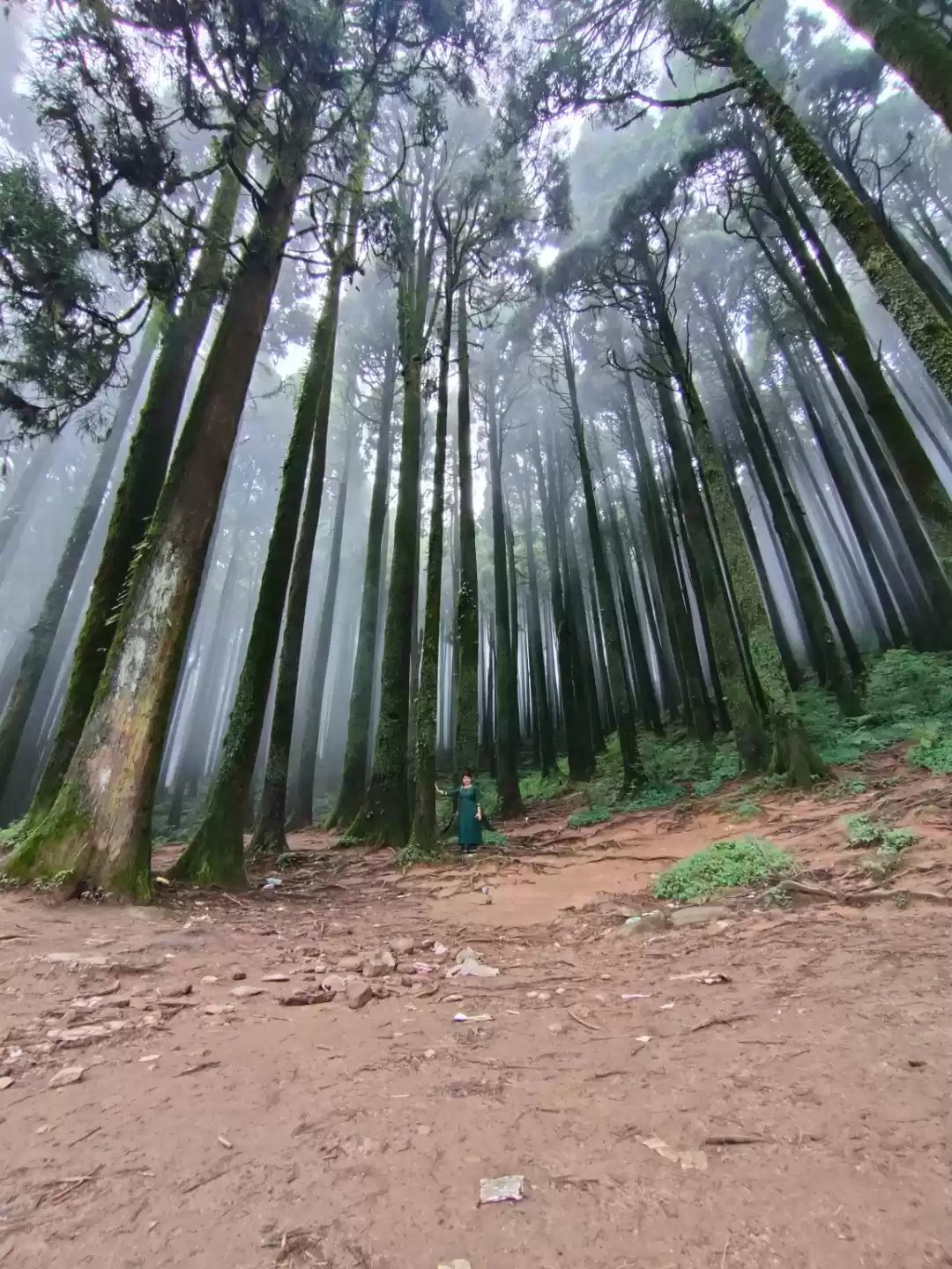 Photo of Mesmerizing Mirik, L