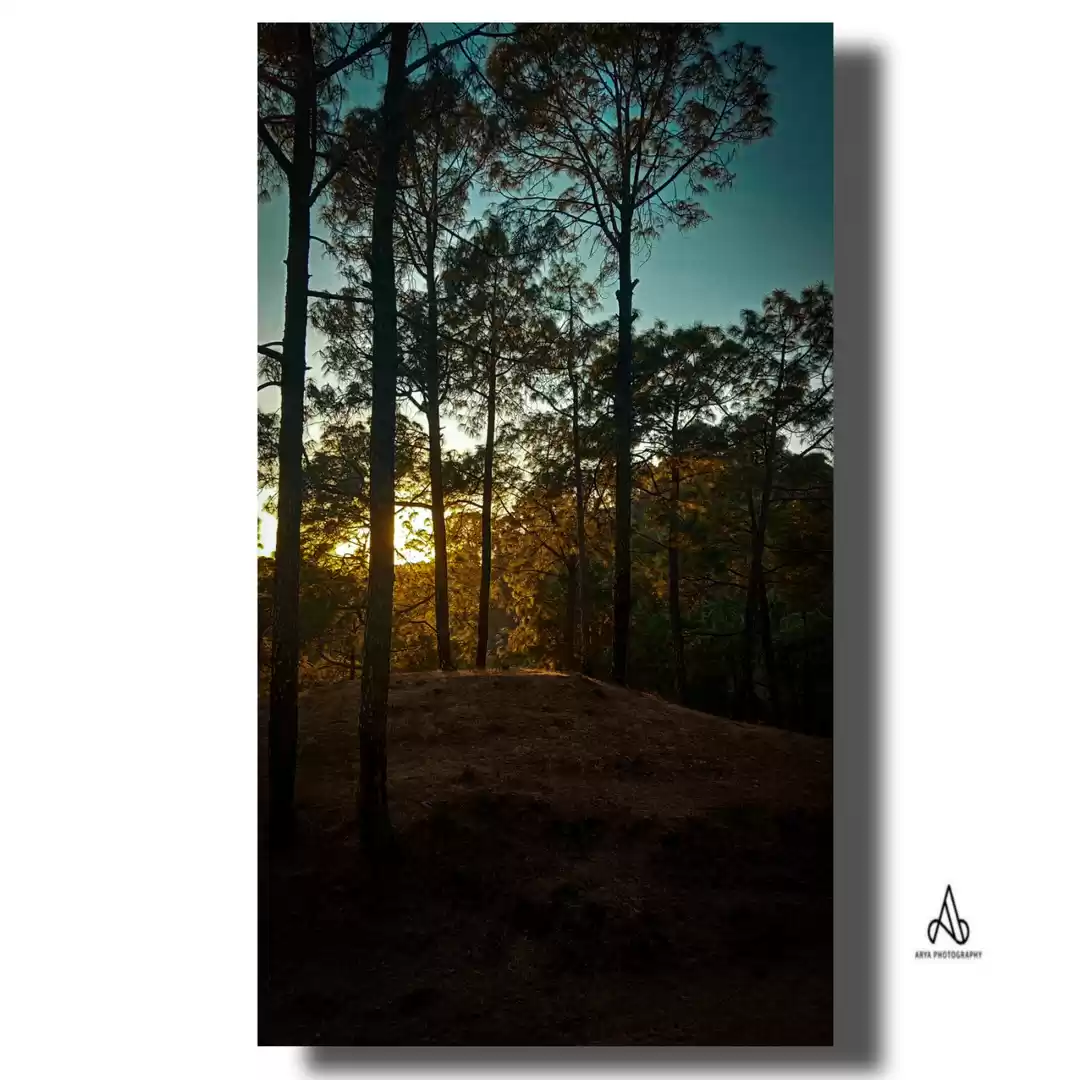 Photo of Solan Himachal 