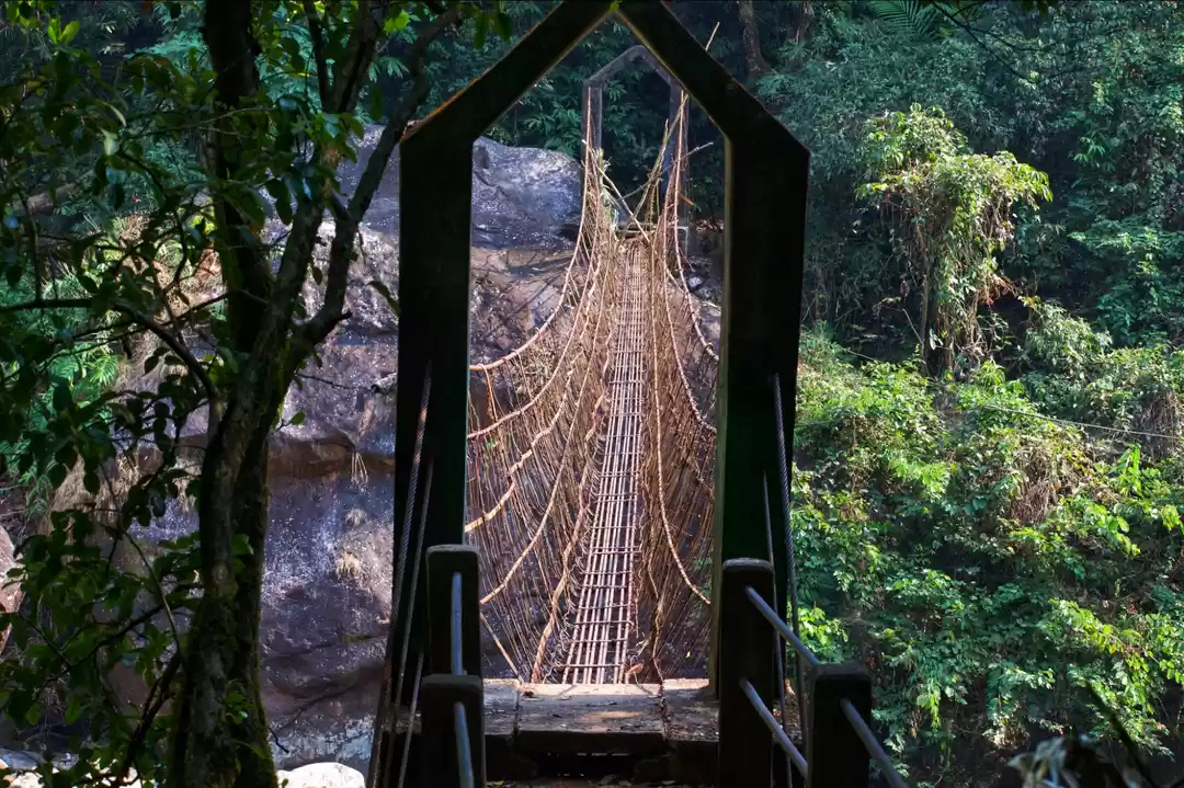 Photo of Postcards from Pasig