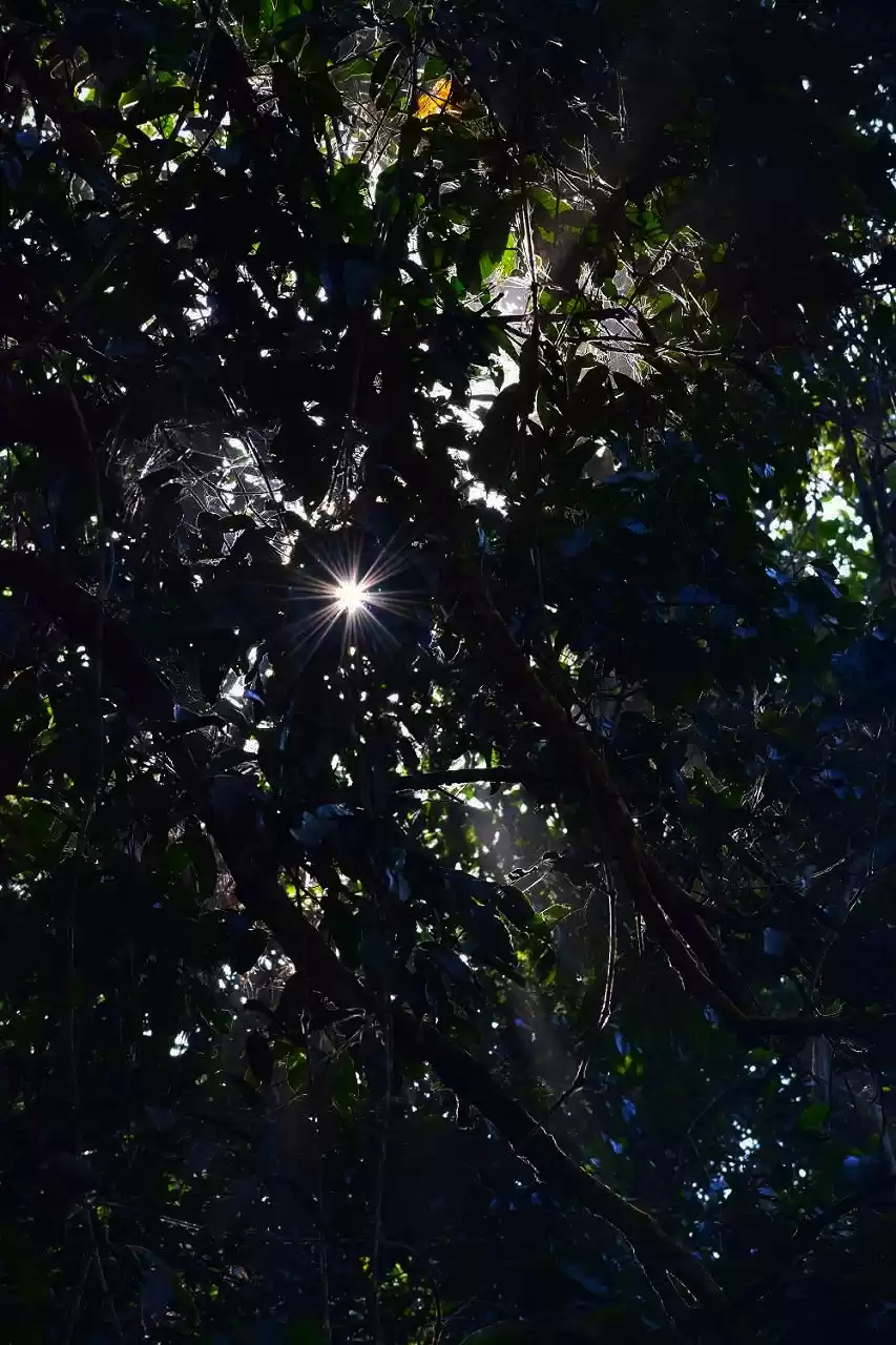 Photo of Discover the Hidden 